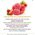 Novità estate 2013 NaturaBio: gelato e menù aperitivo a km zero
