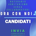 LAVORA CON NOI...MANDACI IL TUO CURRICULUM....