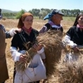 Progetto Semenadura: scopri nei video di Sardegna Verde il contributo di NaturaBio per il recupero del grano 100% sardo